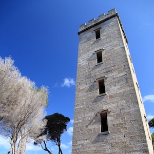 Boyd Tower