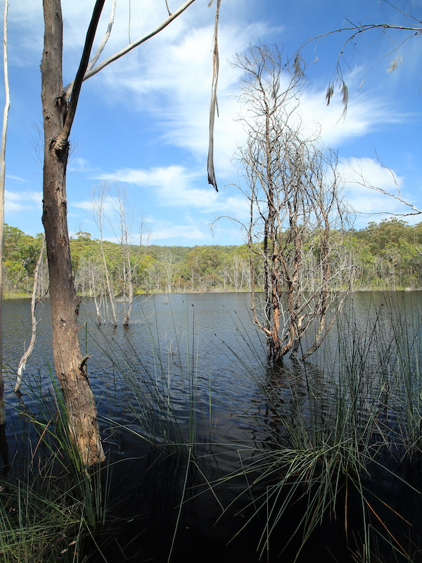 Lake