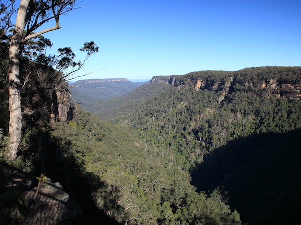 Fitzroy Falls (east)